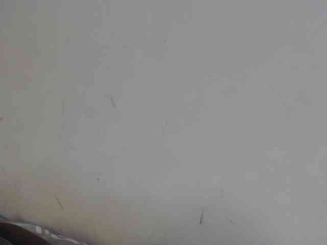 spicyvibee254 webcam