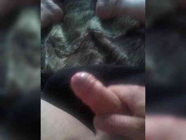 Fays28 Fays28