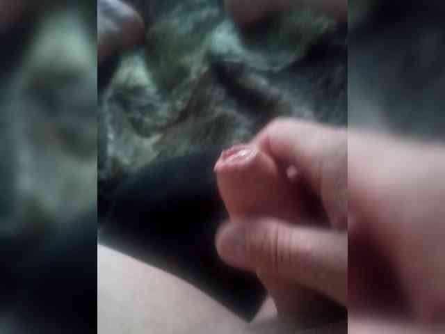 Fays28 Fays28