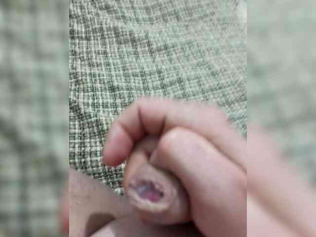 Fays28