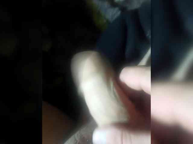 Fays28 Fays28
