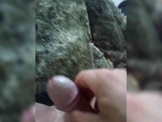 Fays28 Fays28