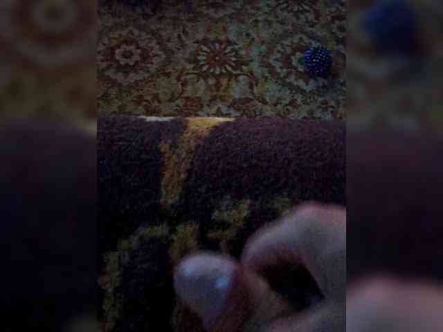 Fays28