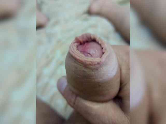 Fays28