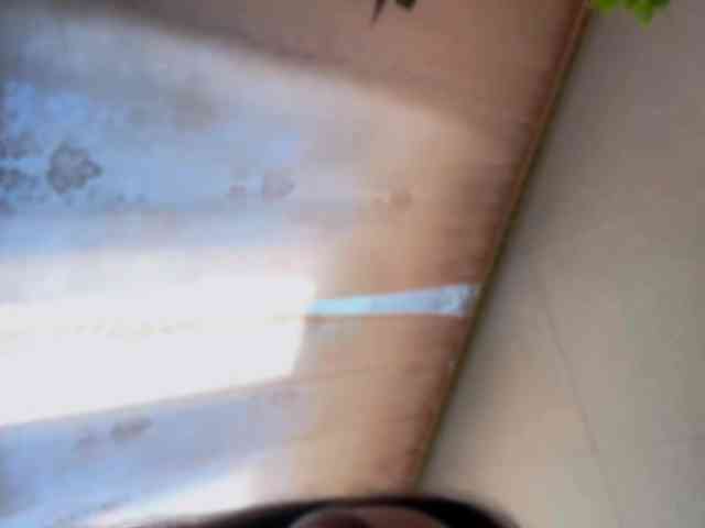 JennyXNova webcam