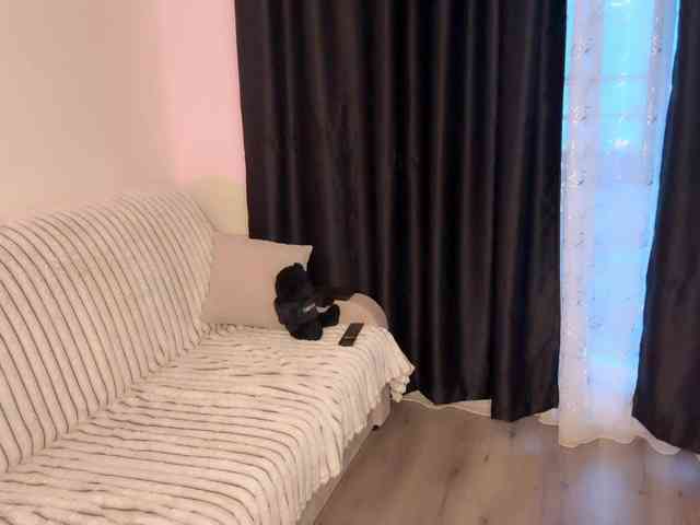 BerrySpice webcam