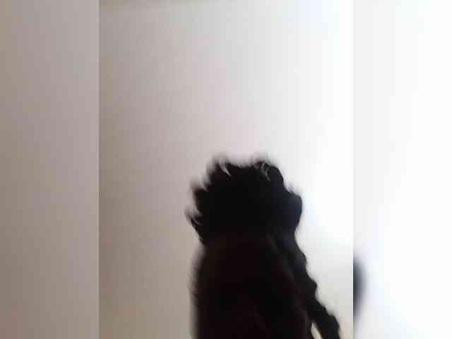 Paula006 webcam