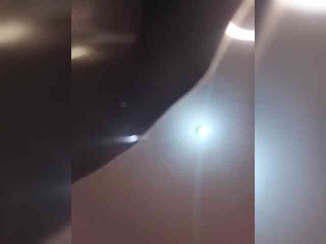 Paula006 webcam