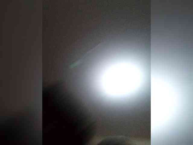 Paula006 webcam