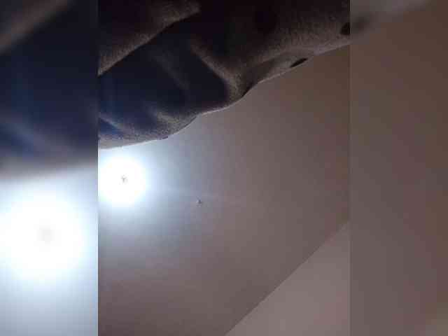Zulfal07 webcam