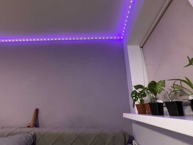 Murmur33 live cam on BongaCams