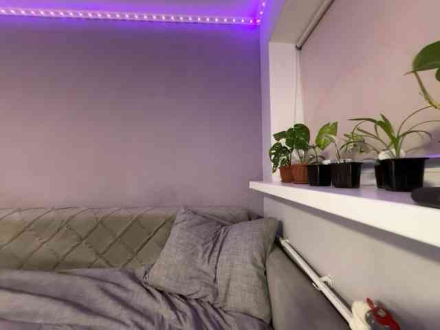 Murmur33 webcam