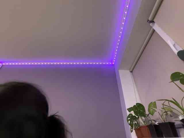 Murmur33 webcam