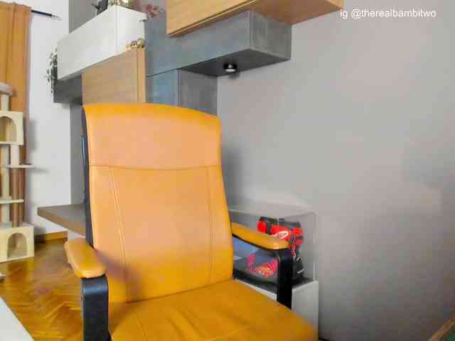 BambiTwo webcam