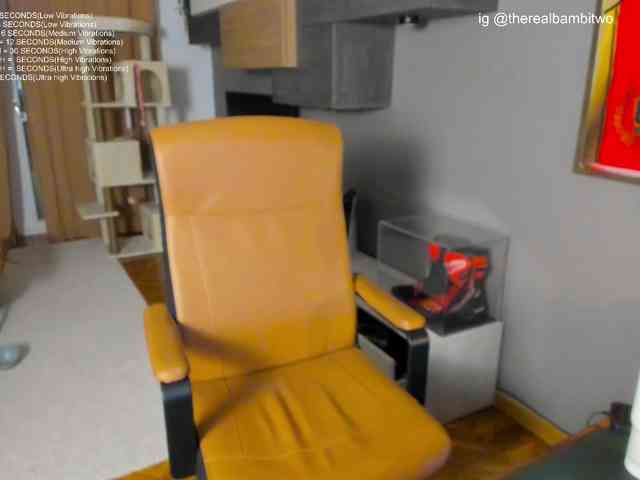 BambiTwo webcam