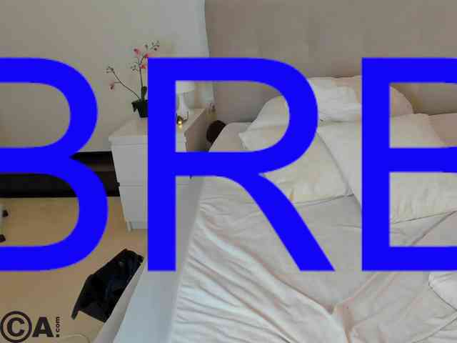Barbara-Rogers webcam