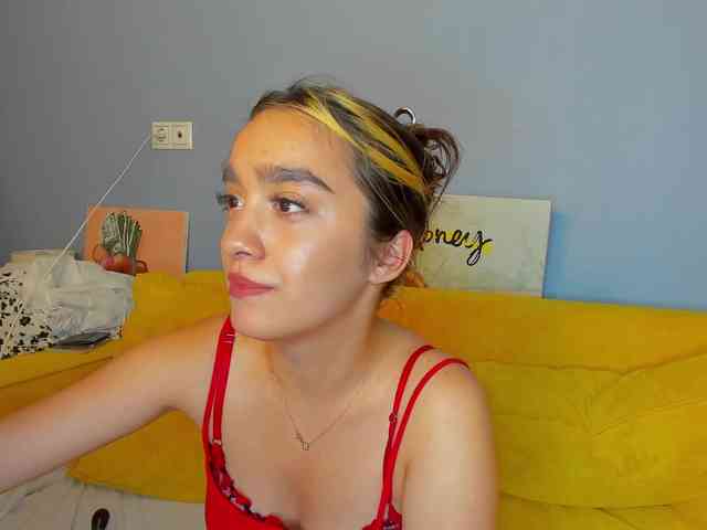 Barbara-Rogers webcam