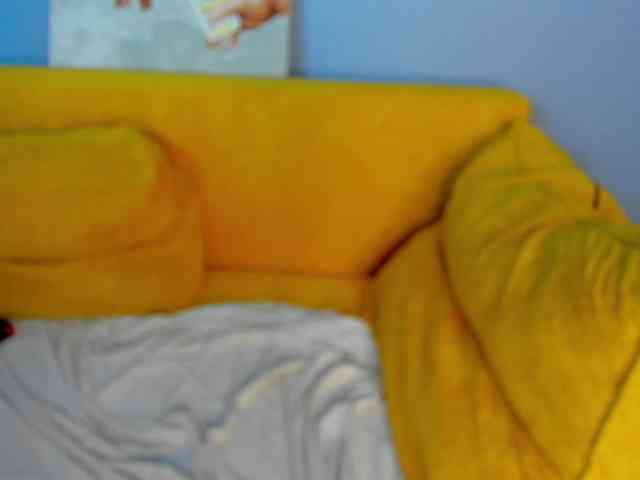Barbara-Rogers webcam