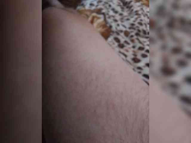 MyPrims