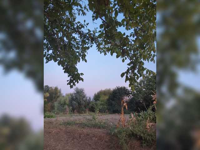 Marseline32