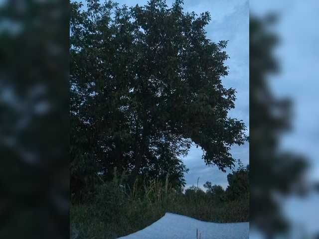 Marseline32