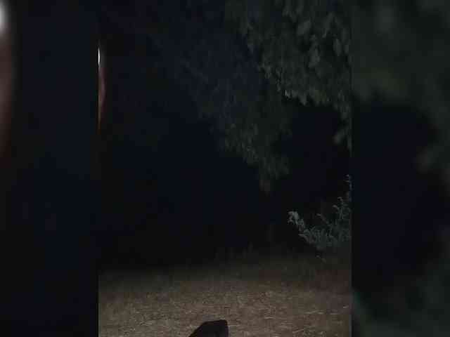 Marseline32 webcam