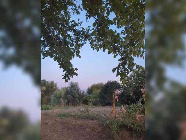 Marseline32