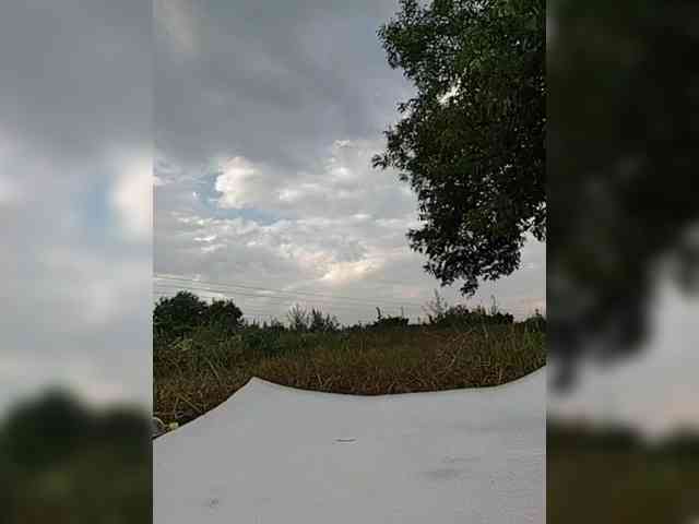 Marseline32 webcam