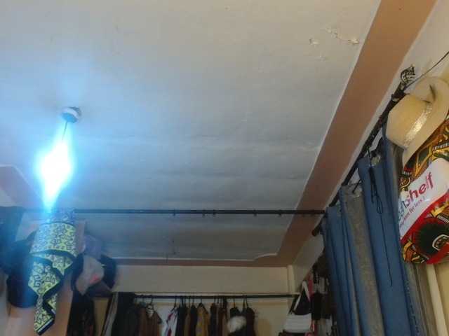 Boughie-birdy live cam on BongaCams