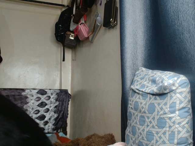 Boughie-birdy live cam