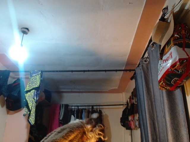 Boughie-birdy live cam su BongaCams