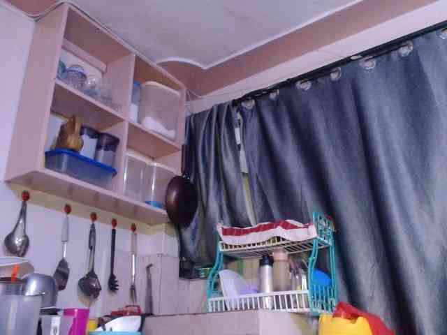 Boughie-birdy webcam