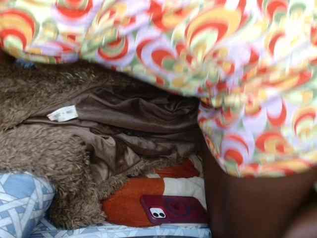 Boughie-birdy webcam