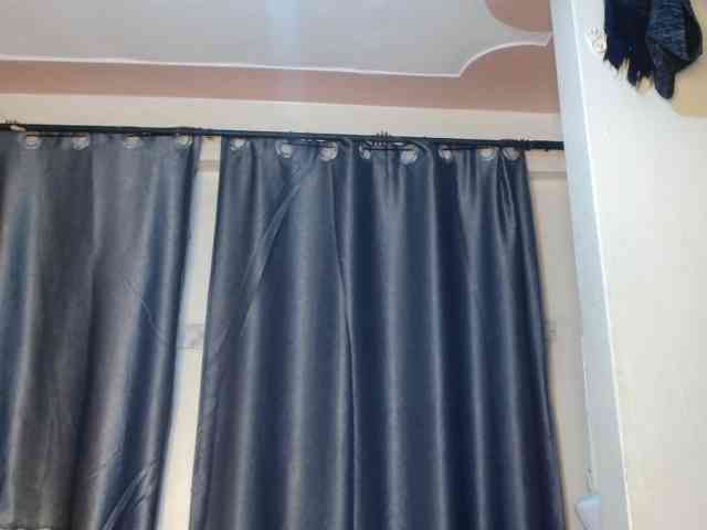 Boughie-birdy webcam