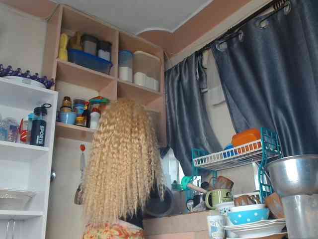 Boughie-birdy webcam