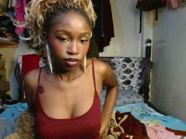Boughie-birdy webcam