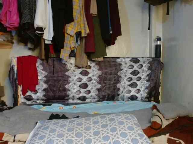 Boughie-birdy webcam
