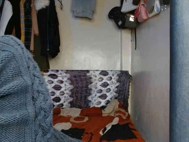 Boughie-birdy webcam
