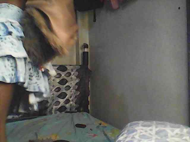 Boughie-birdy webcam