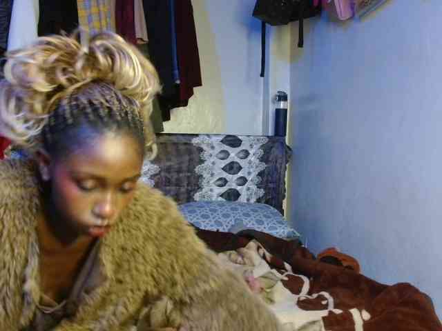 Boughie-birdy webcam