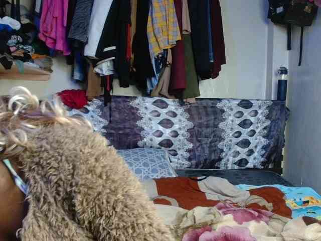 Boughie-birdy webcam