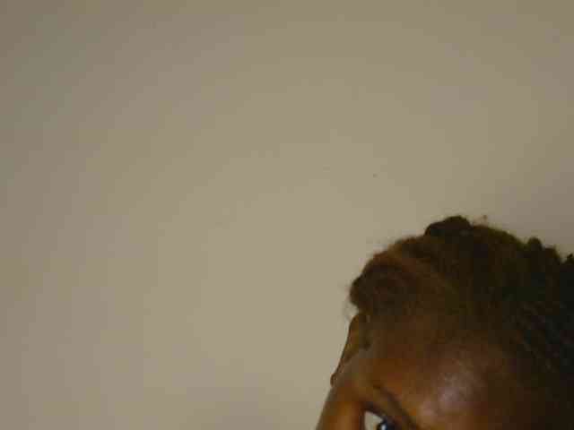 Boughie-birdy webcam