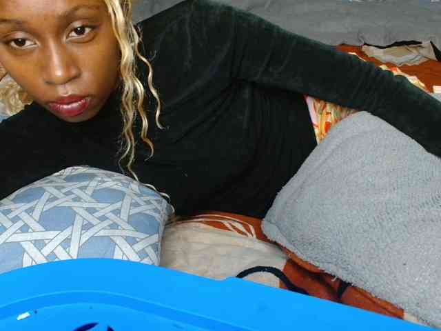 Boughie-birdy webcam