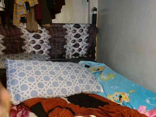 Boughie-birdy webcam