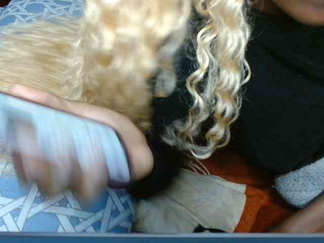 Boughie-birdy webcam