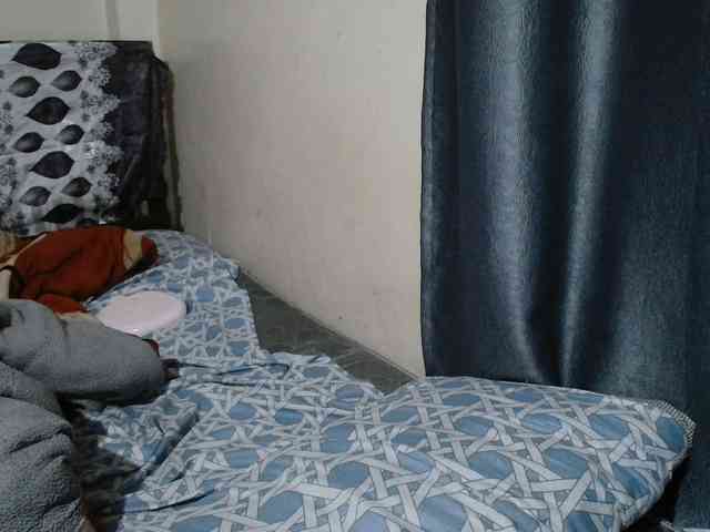 Boughie-birdy webcam
