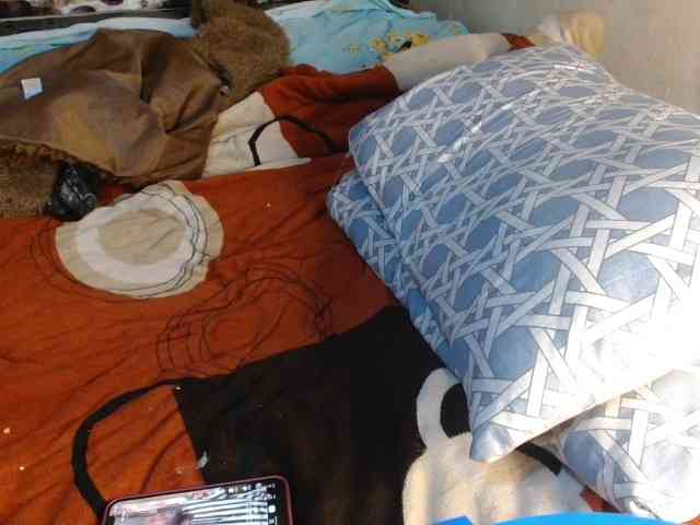Boughie-birdy webcam