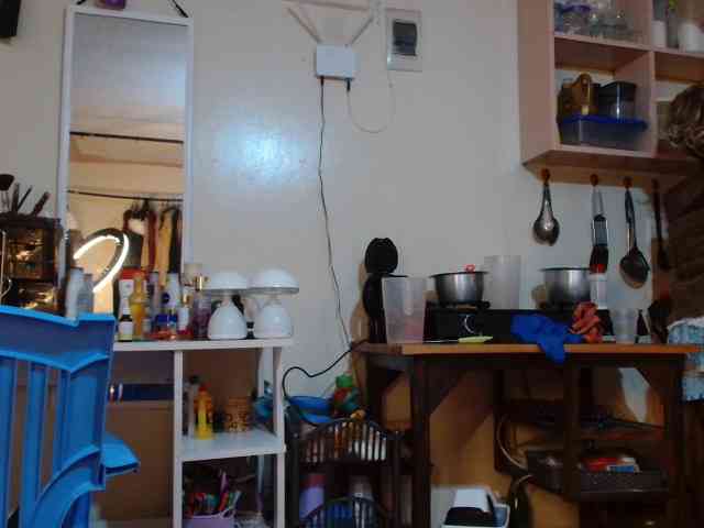 Boughie-birdy webcam