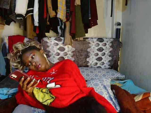 Boughie-birdy webcam