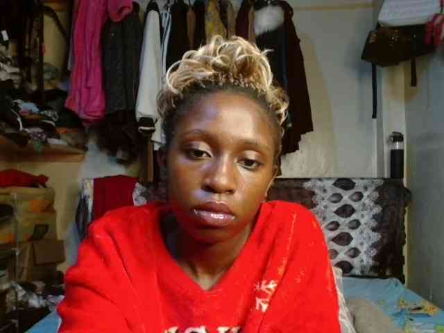 Boughie-birdy webcam